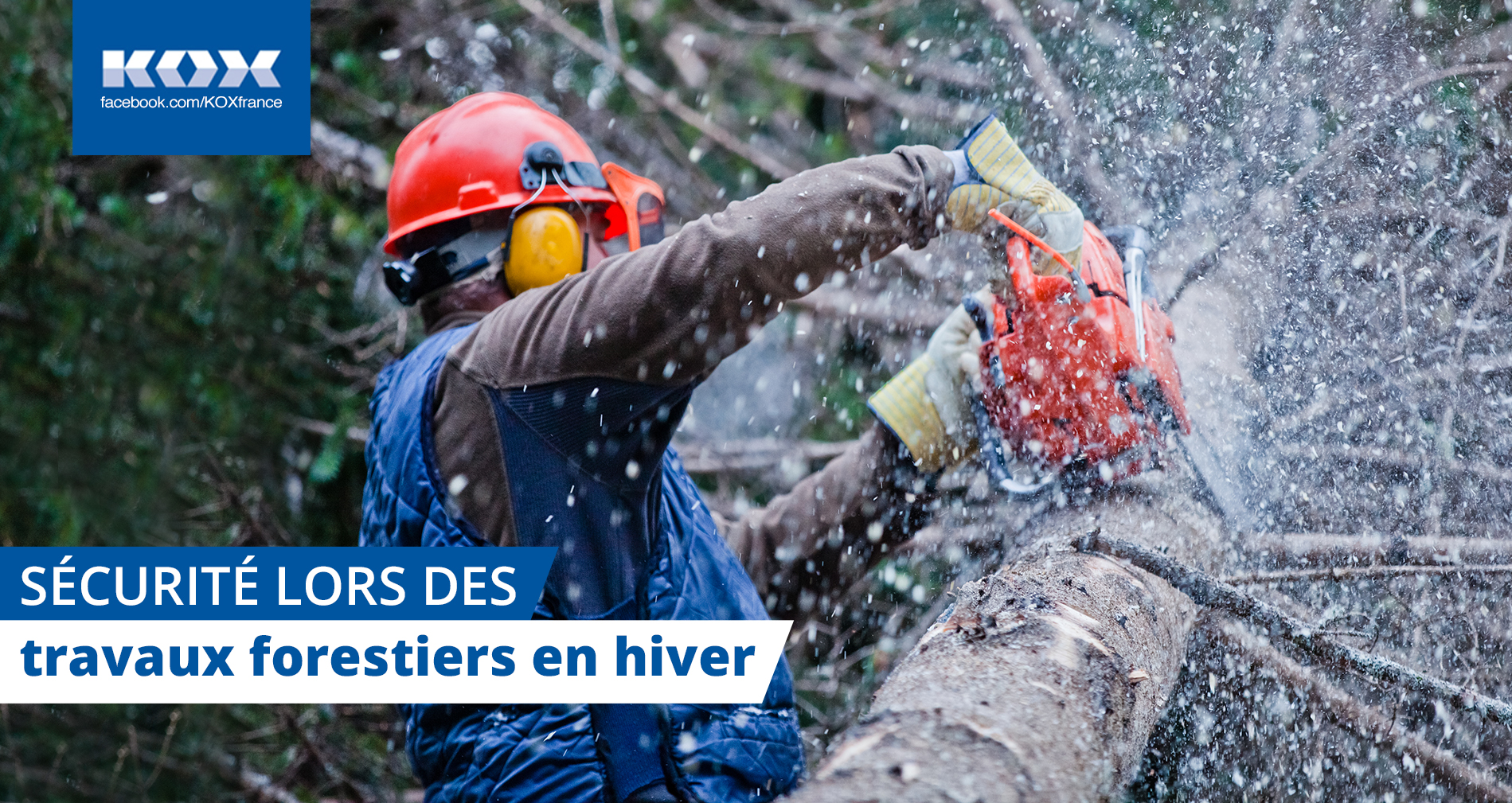Scurit lors des travaux forestiers en hiver