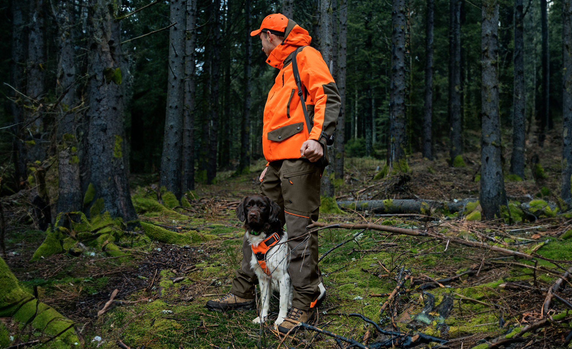 Un chasseur v�tu d’orange et de marron se tient avec son chien dans une for�t recouverte de mousse. Tous deux portent des gilets de signalisation pour une meilleure visibilit�.