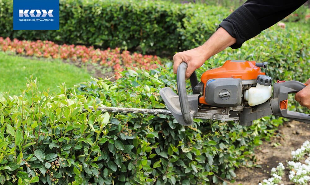 ab1-meilleurs-conseils-jardinage-fin-automne-debut-lautomne-recolte-fruits-legumes-oignon-fleurs-outils-guide-plantes-resistantes-arbres-tailler