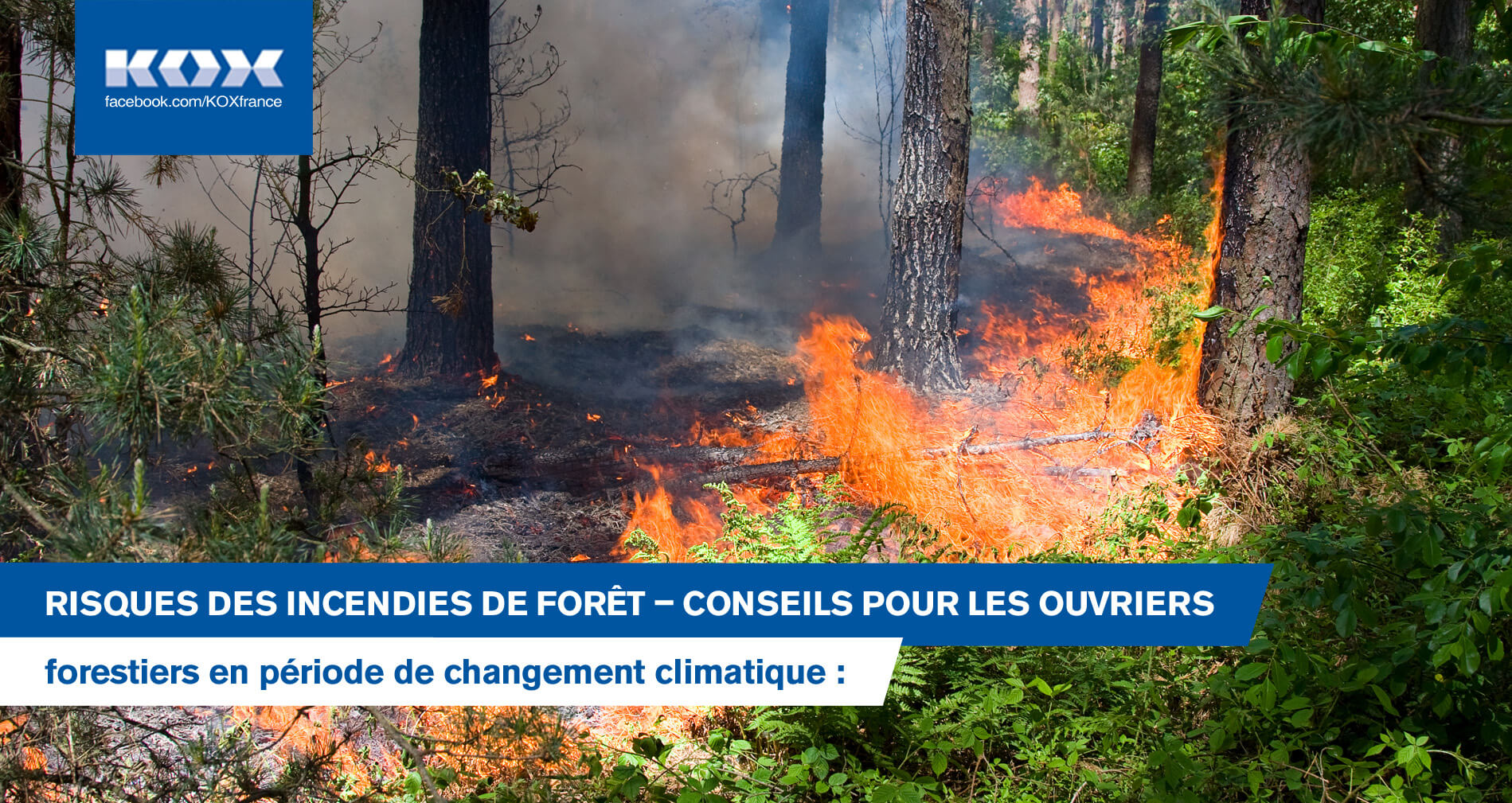 Risques des incendies de fort - conseils pour les ouvriers forestiers en priode de changement climatique : Prvention des incendies de fort en connaissant les risques