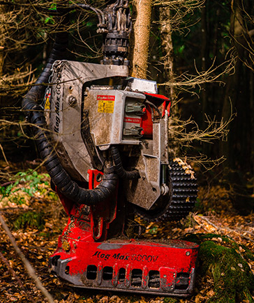 Tte d’abattage Log Max 5000V en fonctionnement sur un tronc debout en sylviculture.