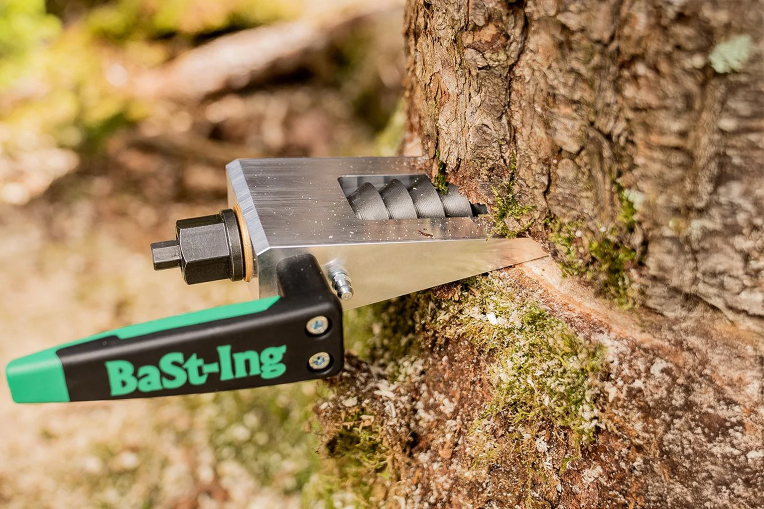 Un coin avec poign�e est enfonc� dans un tronc d’arbre et maintient la coupe ouverte. L’outil est ancr� dans le bois, l’�corce de l’arbre et de fins copeaux de bois sont clairement visibles.