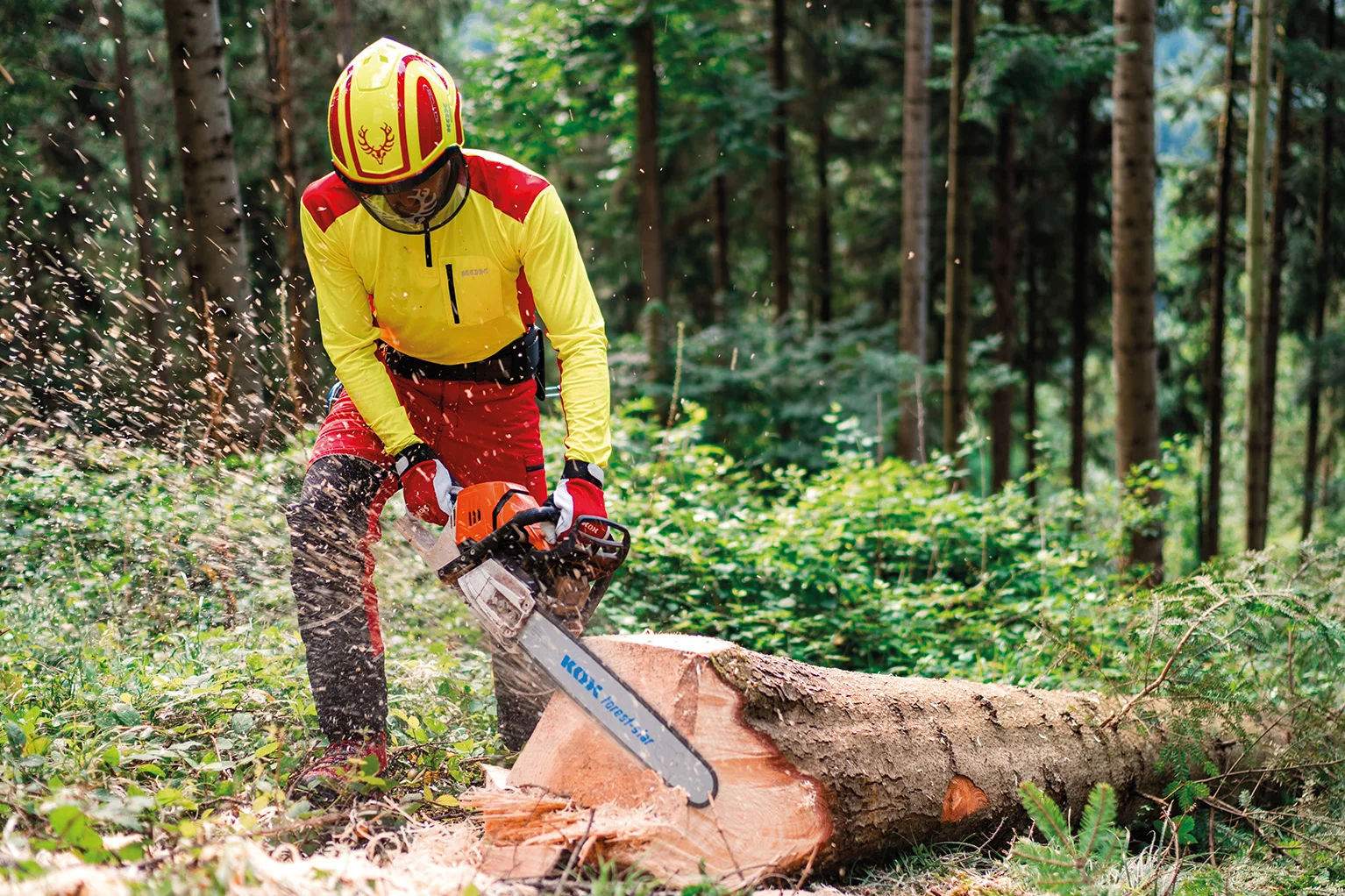 Une personne en tenue de protection jaune et rouge coupe un tronc d’arbre abattu dans la for�t avec une tron�onneuse ; des copeaux de bois sont projet�s sur le c�t�.