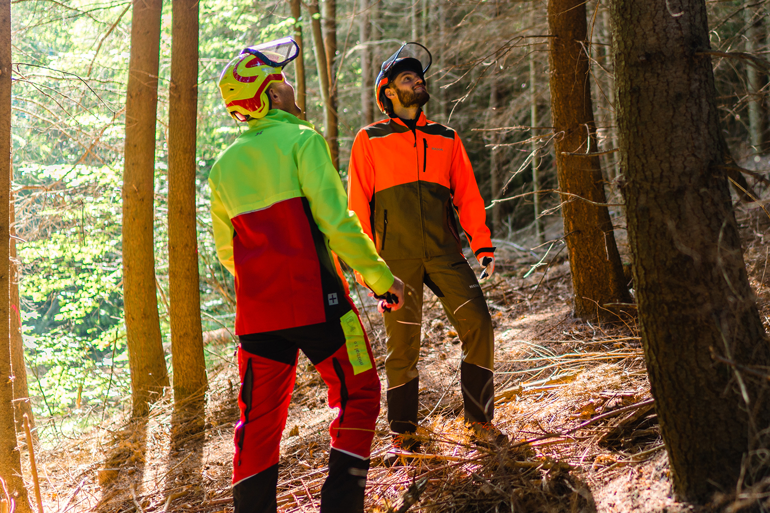 Deux ouvriers forestiers en tenue de protection se tiennent dans la for�t et regardent vers les arbres.