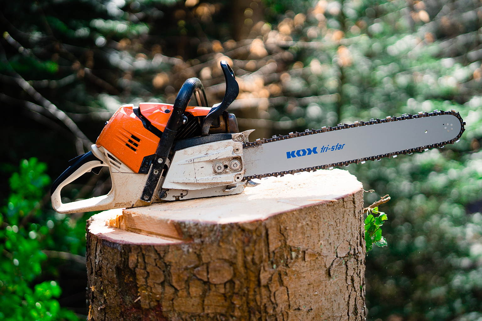 Trononneuse quipe d’un guide KOX tri-star et d’une chane pose sur une souche frachement coupe en fort.