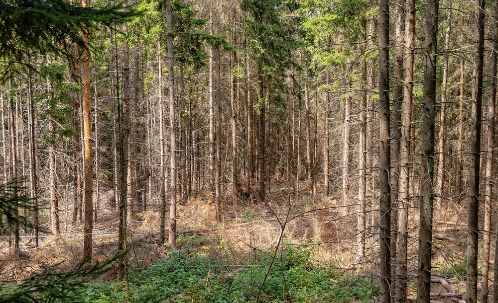 200917_KOX_Blog_August_DE_3-1536x816