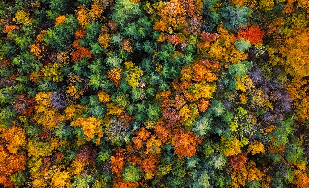 200917_KOX_Blog_August_DE_5-1536x816