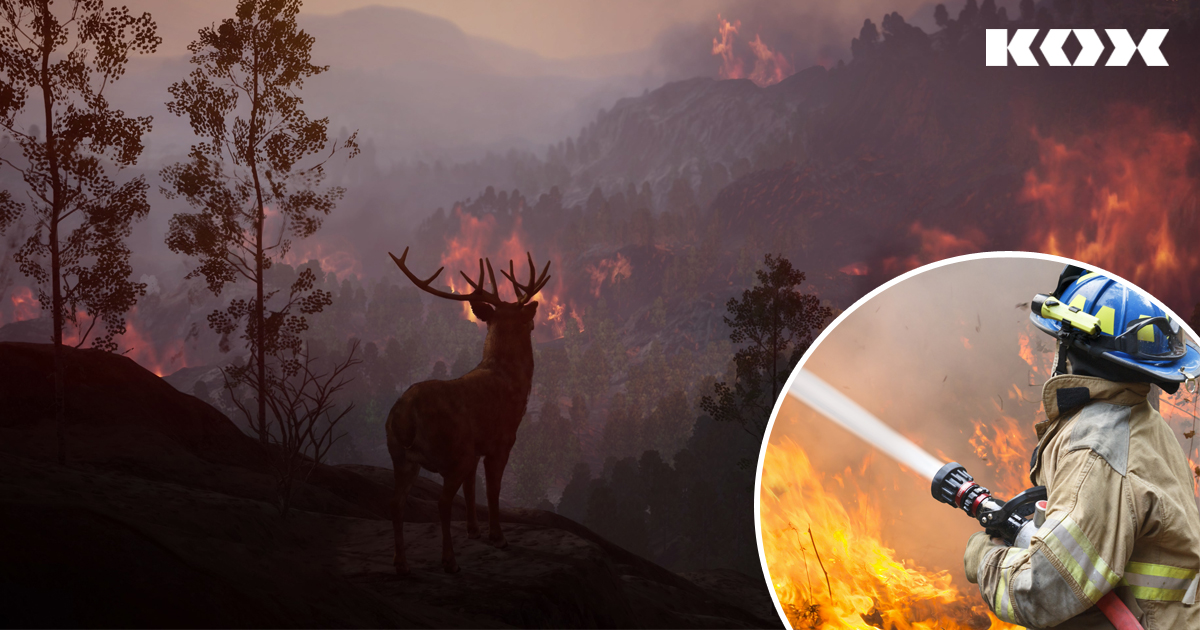 Scheresse dans les forts en 2022 : une anne record de feux de fort et des solutions pour lutter contre la scheresse