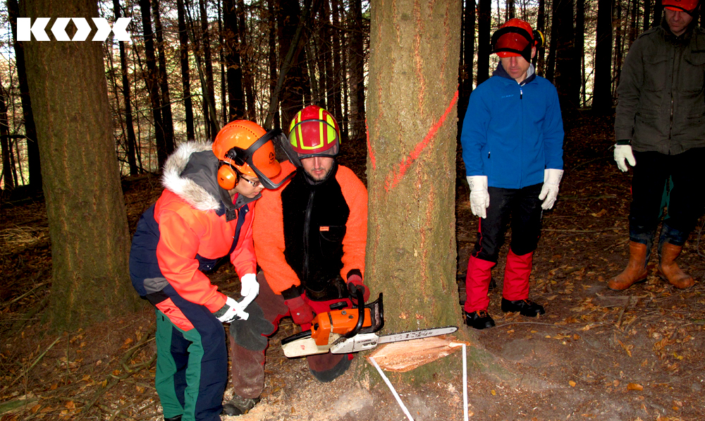 conseils pour la formation de forestier postulation