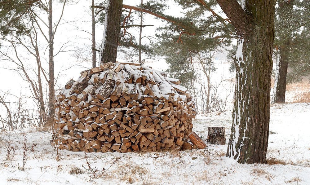 récolter du bois de chauffage pour l'hiver. un chariot vide se