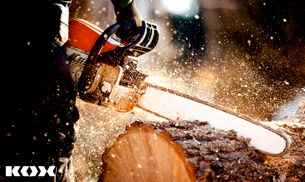 Conseils pour les trononneuses / scies  moteur : comment choisir la trononneuse, la chane et le guide-chane appropris ?