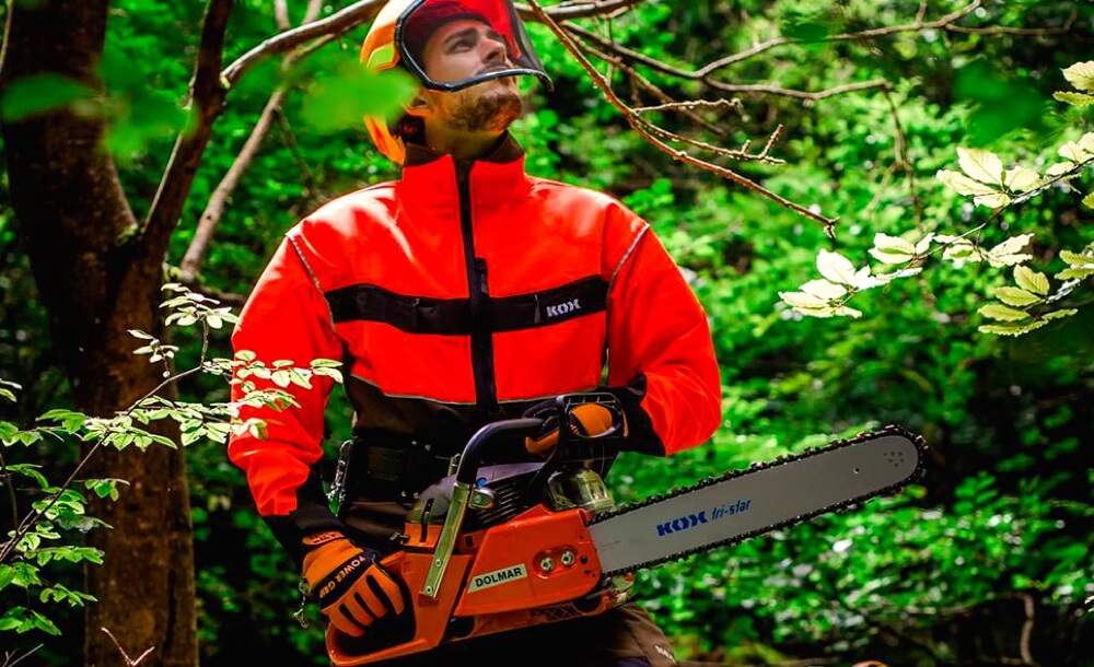 Protection contre la vgtation d'accompagnement indsirable dans la fort : Conseils et mesures contre la croissance indsirable