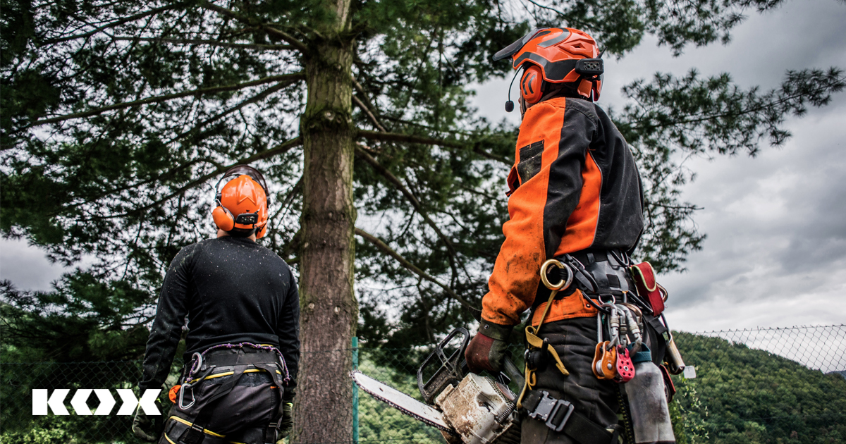 travailler en groupe