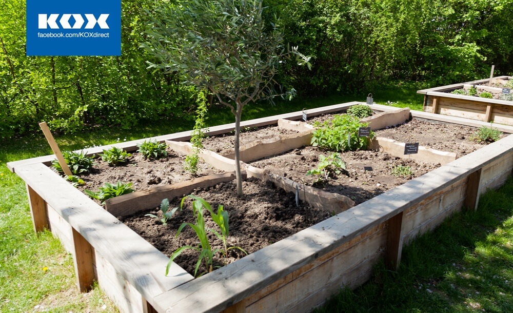 200519_KOX_Blog_Mai_3-1536x816