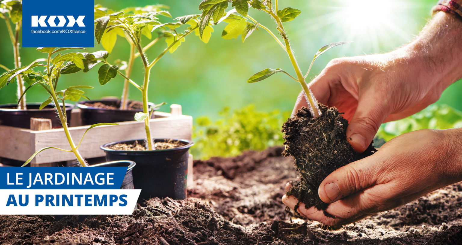 Jardinage au printemps