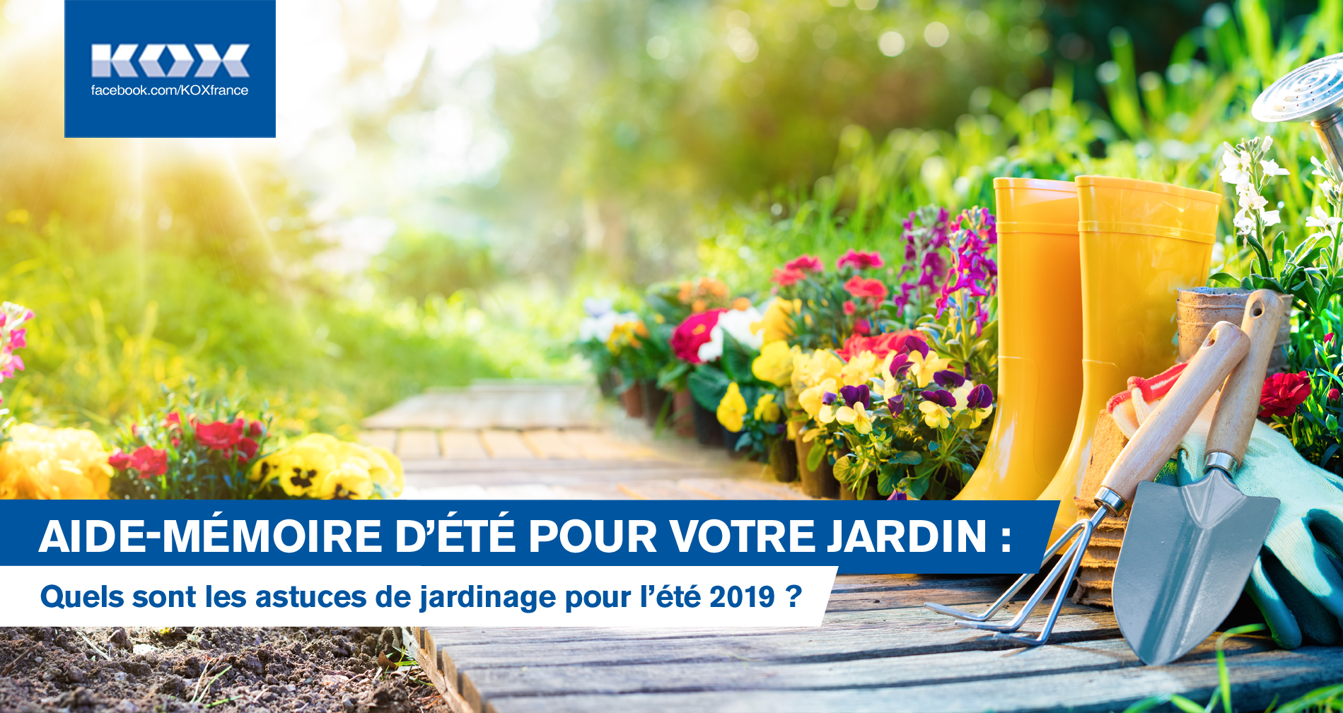 Aide-mmoire d't pour votre jardin : Quels sont les astuces de jardinage pour l't 2019 ?