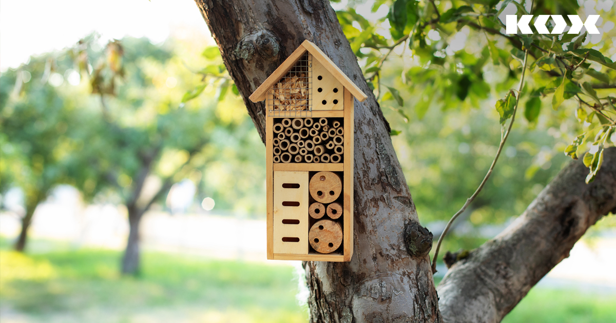 Accrocher un htel  insectes