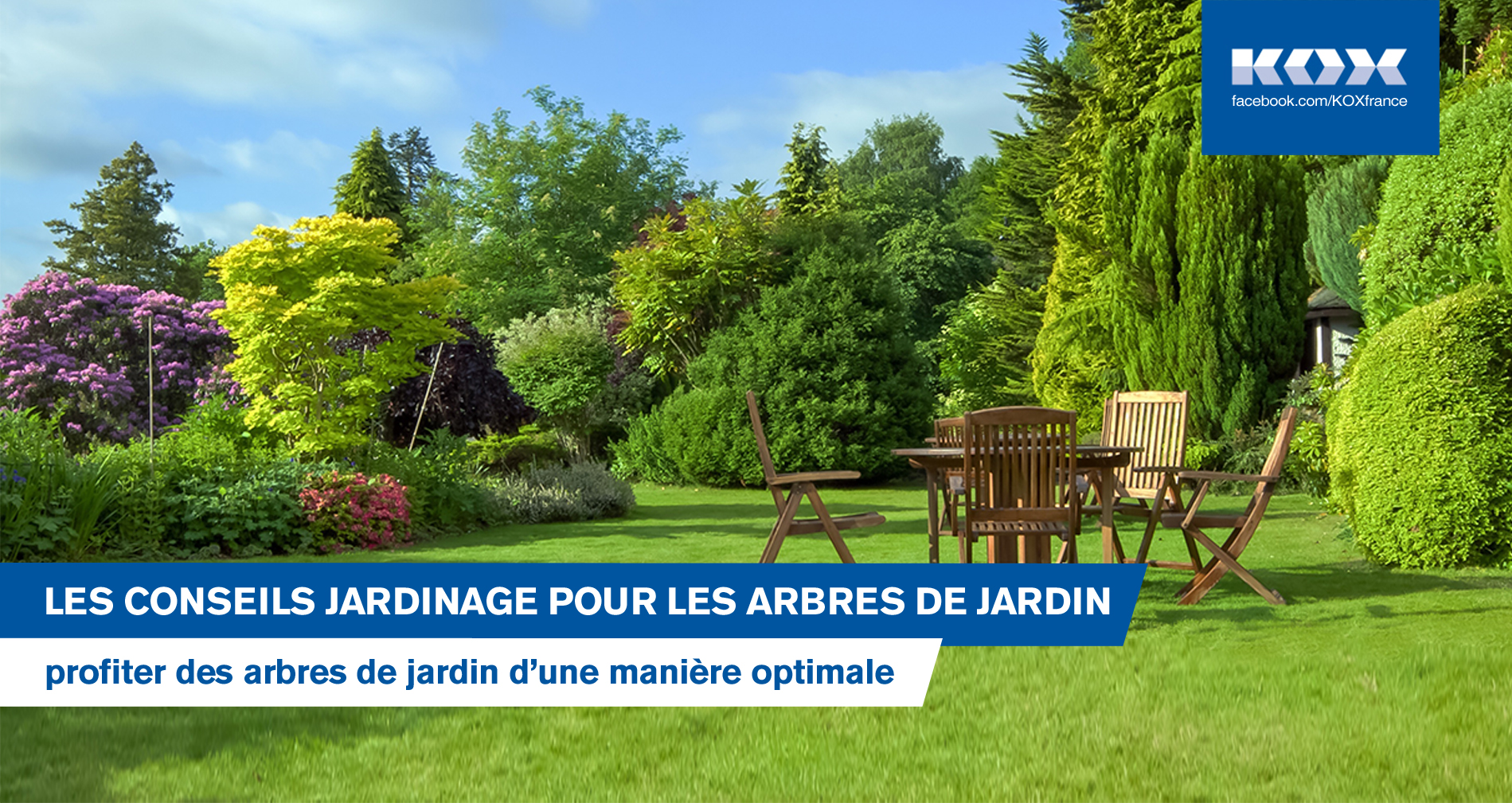 Les conseils jardinage apour les arbres de jardin : plantation et entretien optimal
