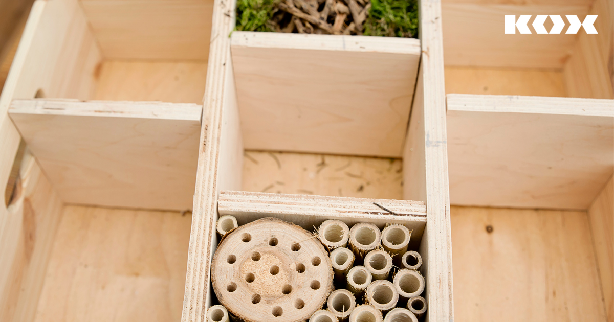 Structure de base pour un htel  insectes et abeilles