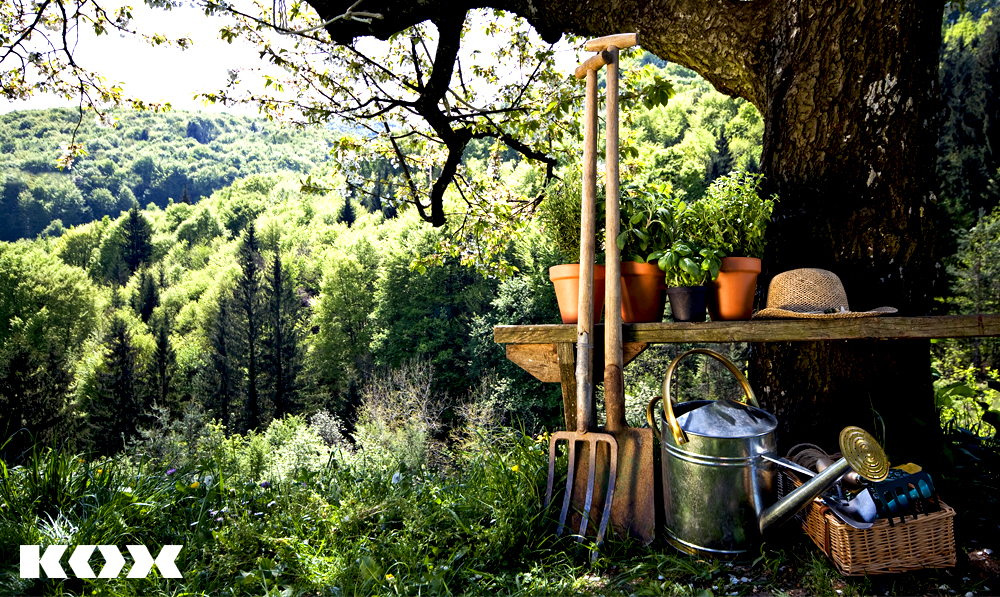 Top appareils de jardinage