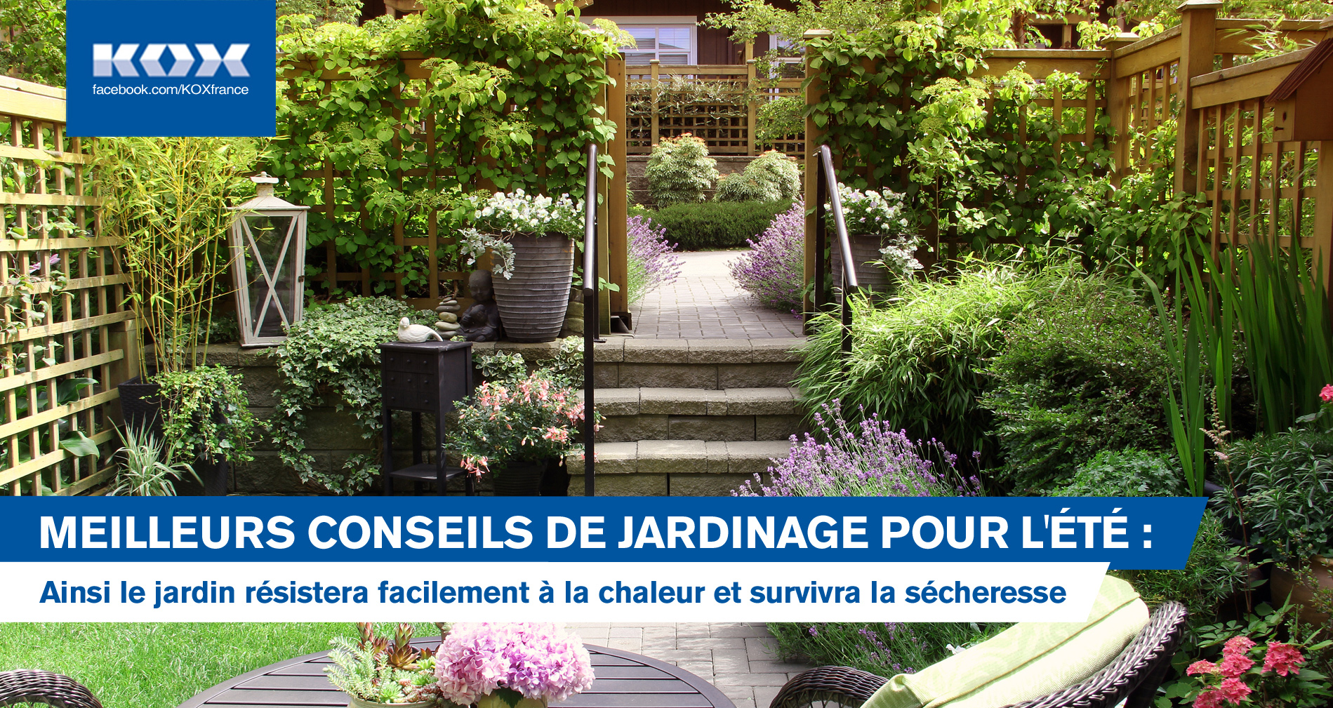 Meilleurs conseils de jardinage pour l't 2019 : Ainsi le jardin rsistera facilement  la chaleur et survivra la scheresse