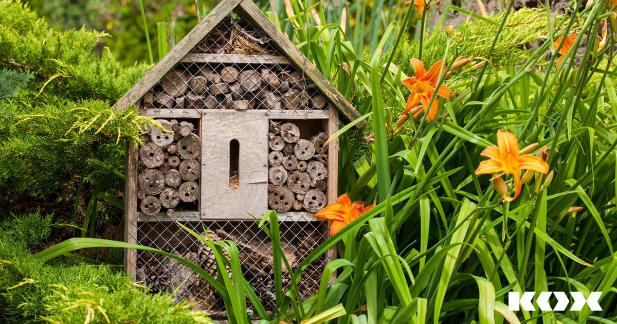 Installer des htels  insectes
