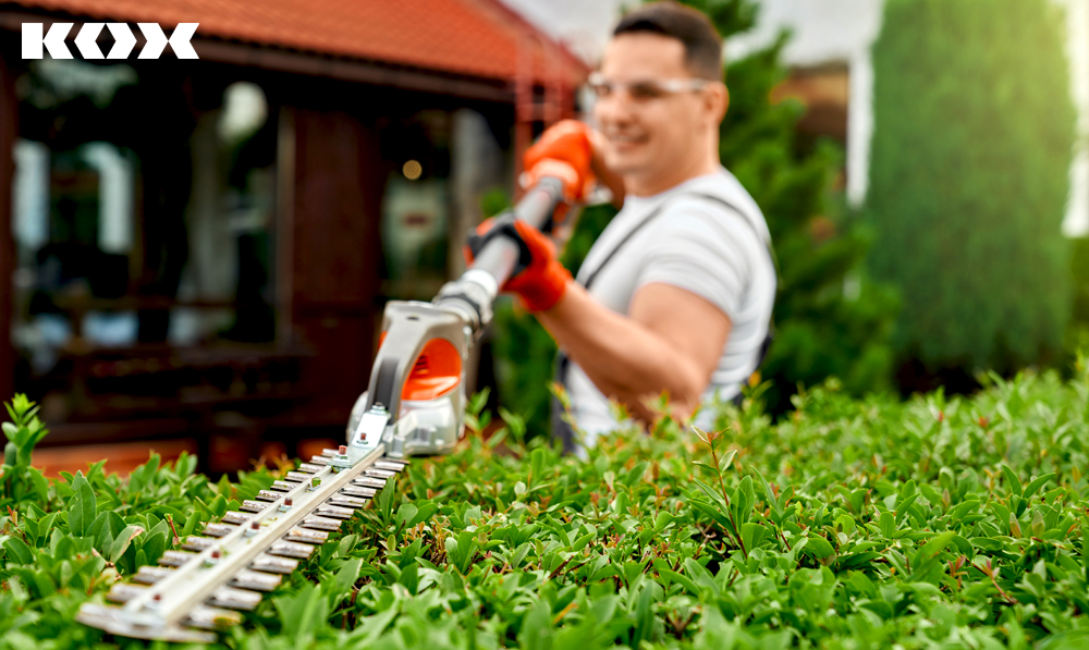 Conseil tailler les Haies et les Arbres