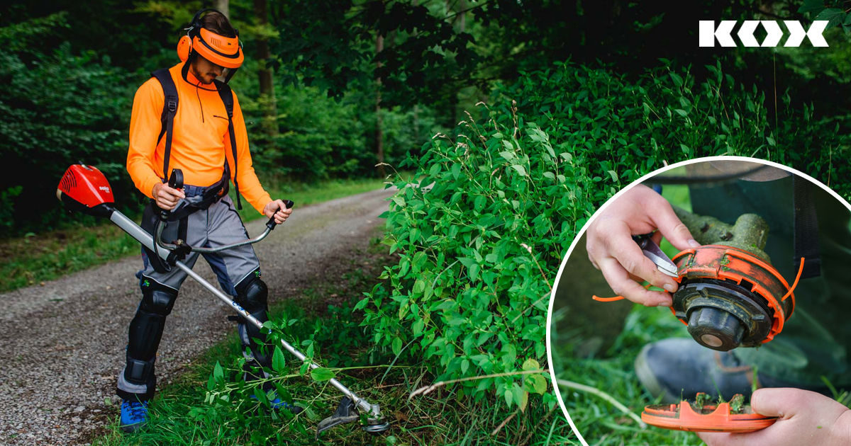 Ciseaux d'élagage universel - Outil de jardinage professionnel