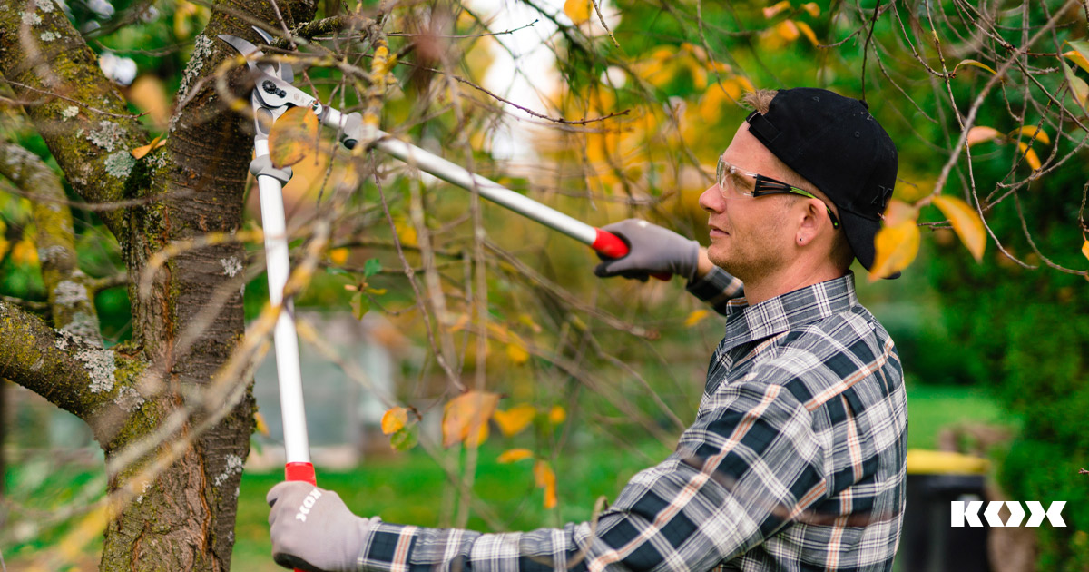 Comparaison des scateurs Felco : sylviculture, viticulture, espaces verts