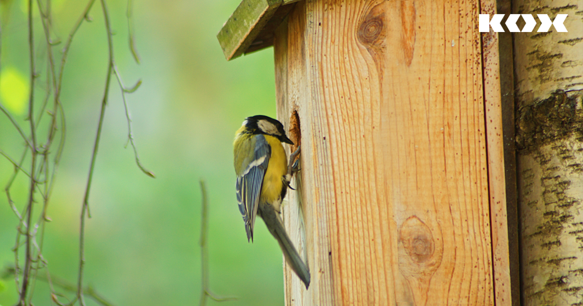 Structure de base pour un htel  insectes et abeilles