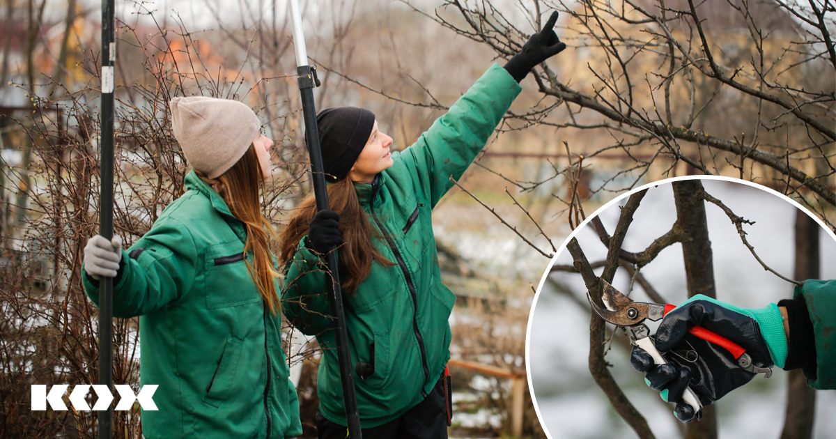 Qu&#8217;en est-il de l&#8217;hibernation : 5 conseils pour le jardinage et l&#8217;entretien du jardin en hiver