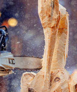  L'art de la trononneuse