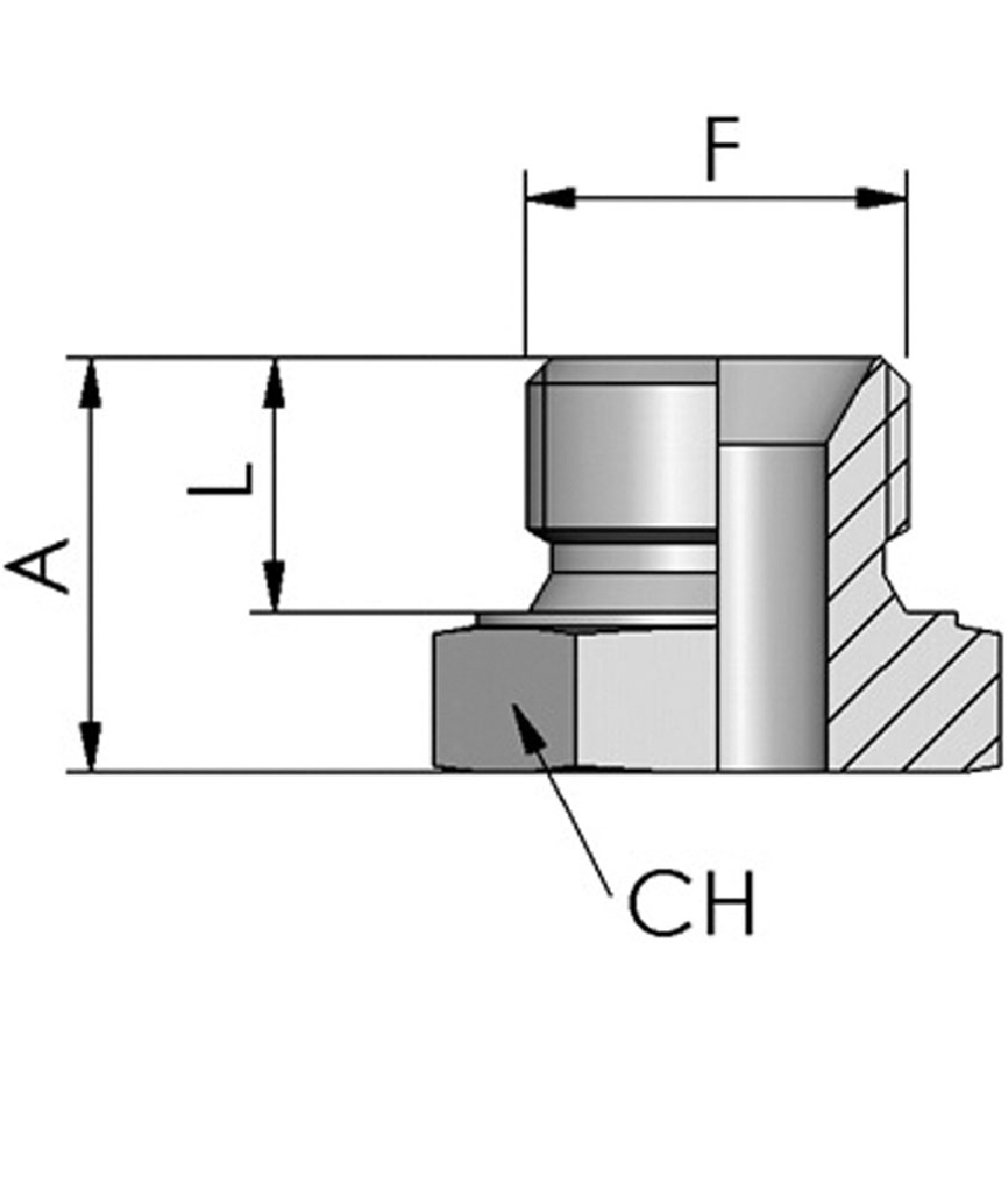 Vis de protection contre la poussire FB Hydraulik, BSP six pans, cne 60, XXST154-0000